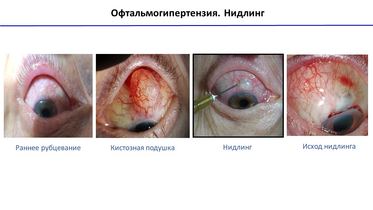 Офтальмологические образовательные университеты - Страница 3 из 3 -  Издательство АПРЕЛЬ